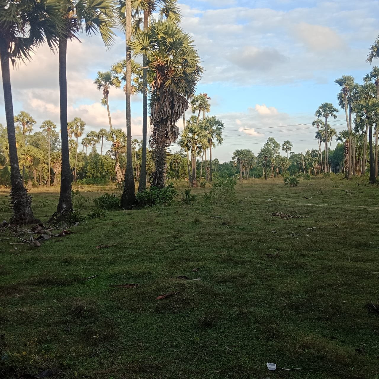 acre vacant land sale in Kuvathur 