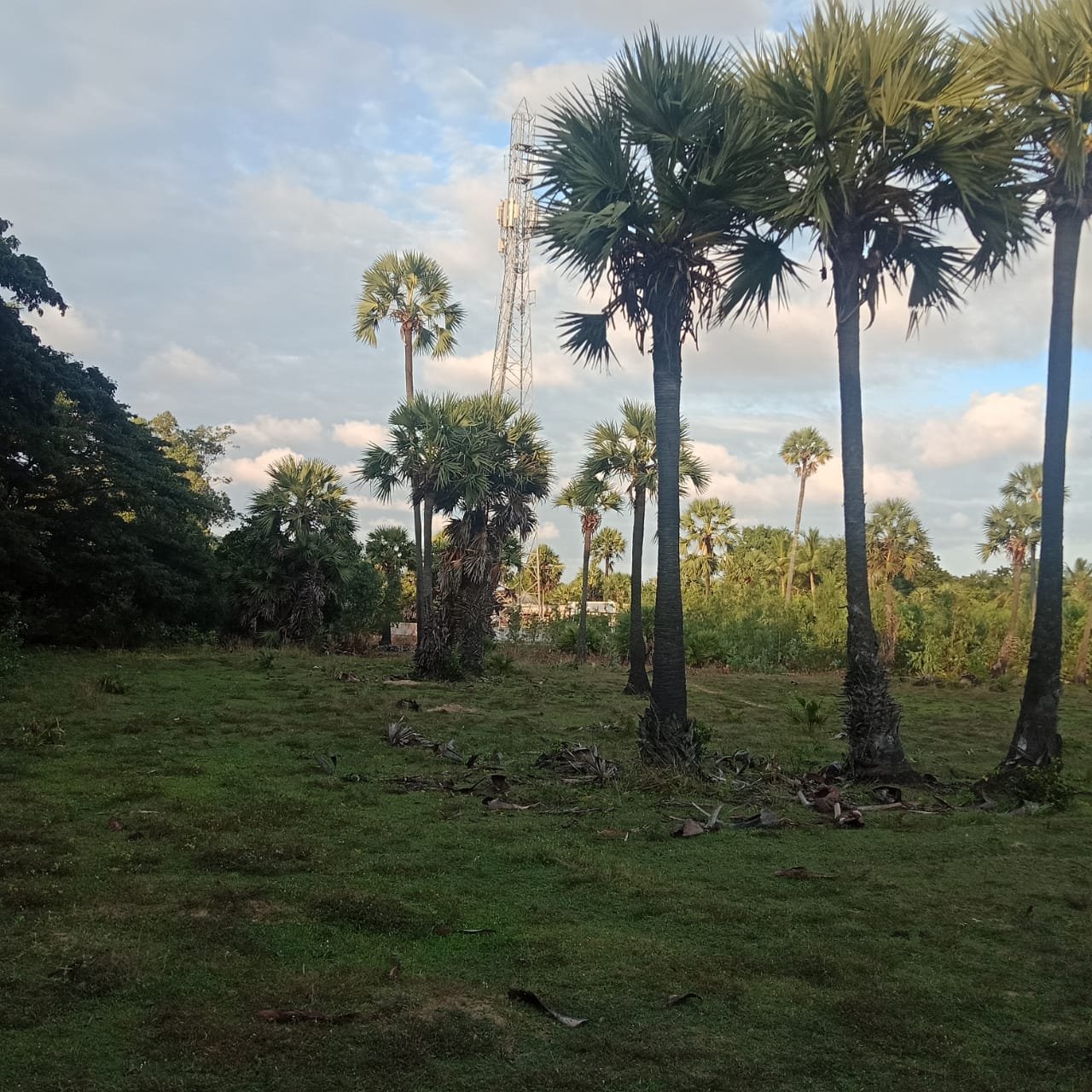 2.84 acre vacant land sale in Kuvathur vadapattinam on ECR road