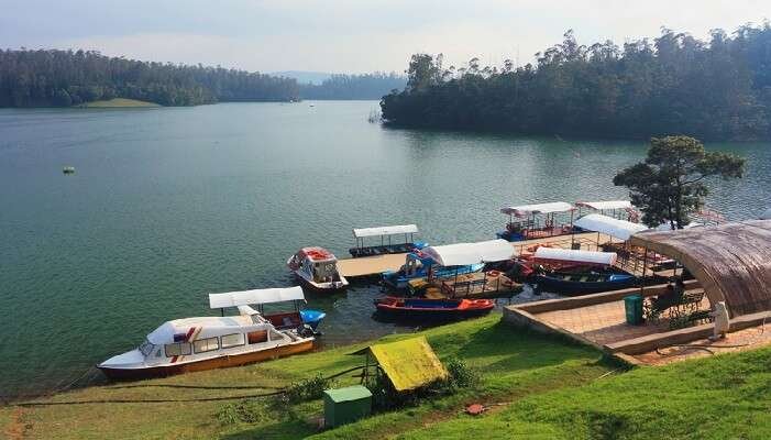 1.82 acres Bungalow with shops for sale in ooty opp to OOTY boat house