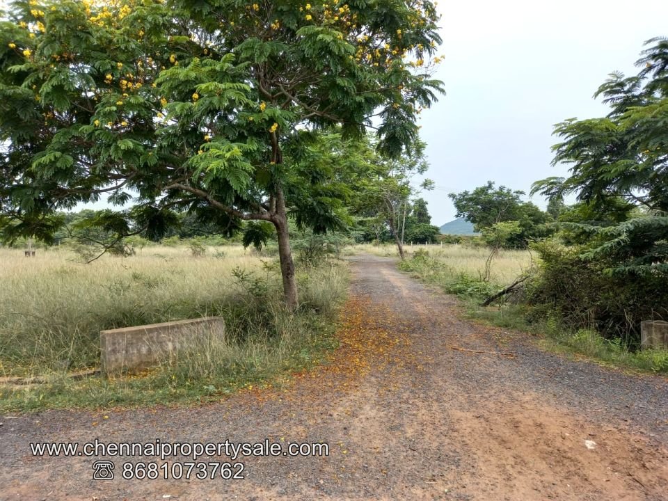 1500 sqft DTCP approved plot sale near Guduvancheri