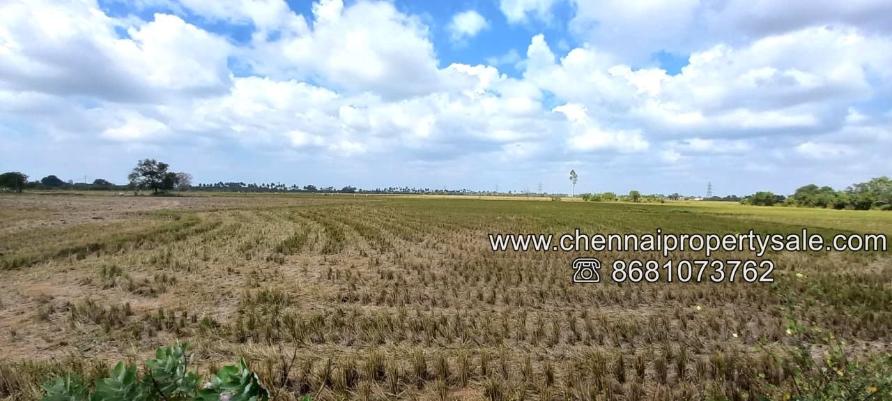 Vacant Land Sale in Kannigaipair Village Near Karanodai