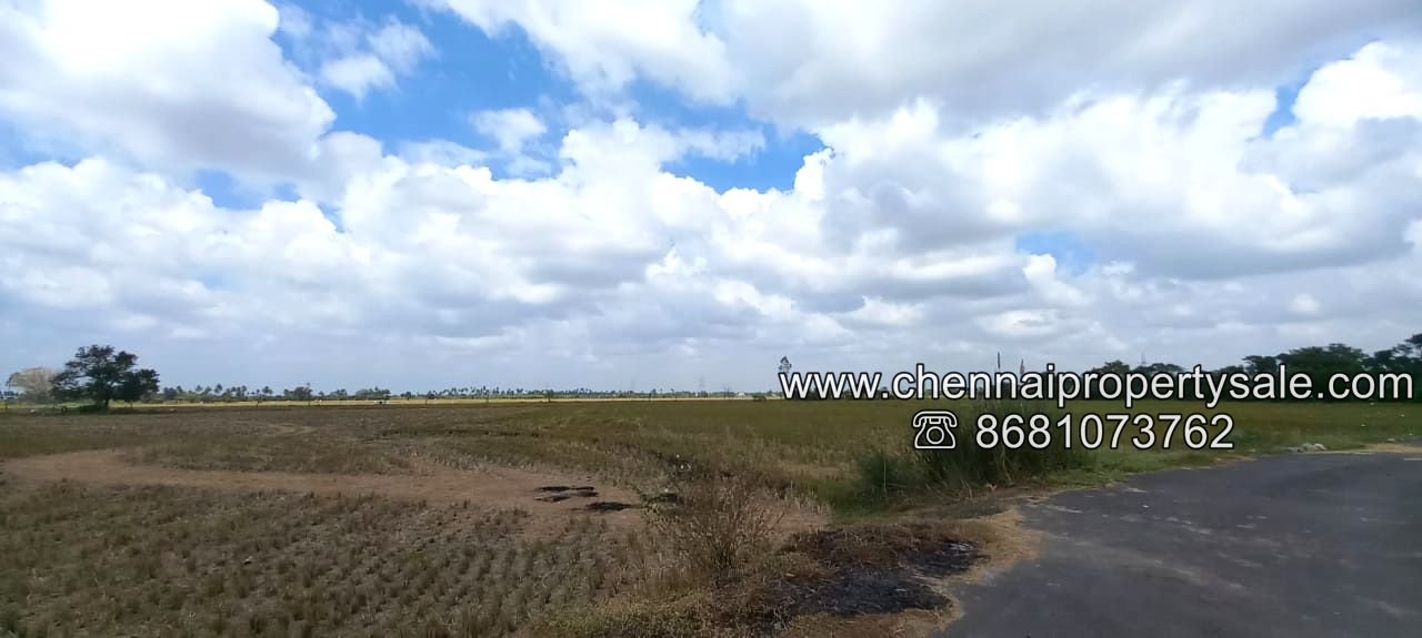 50 Acre Vacant Land Sale in Kannigaipair Village Near Karanodai