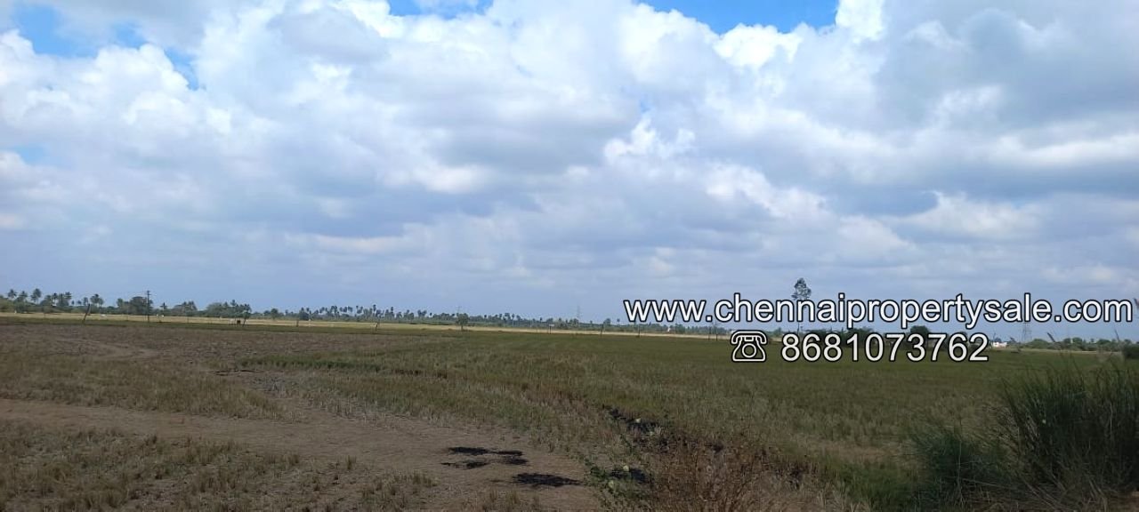 50 Acre Vacant Land Sale in Kannigaipair Village Near Karanodai