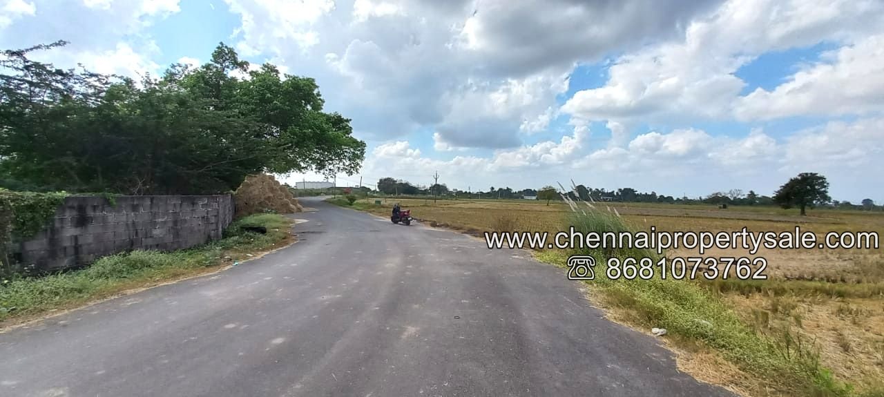 50 Acre Vacant Land Sale in Kannigaipair Village Near Karanodai