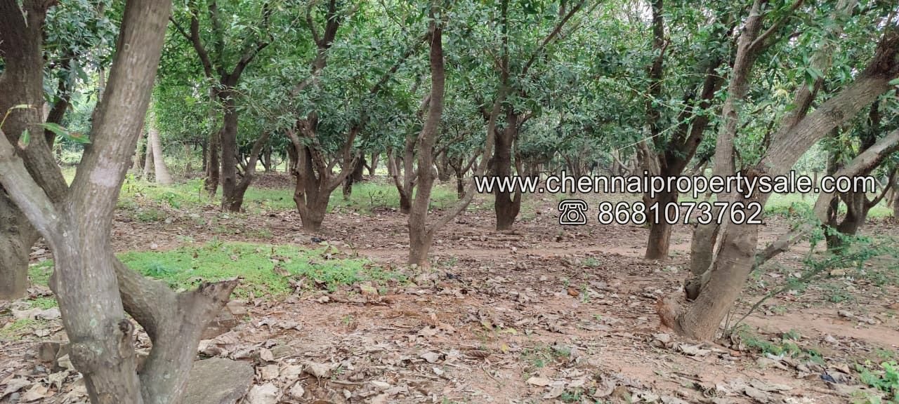 1.5+ Acre Farm House Sale Near Sunguvarchatram