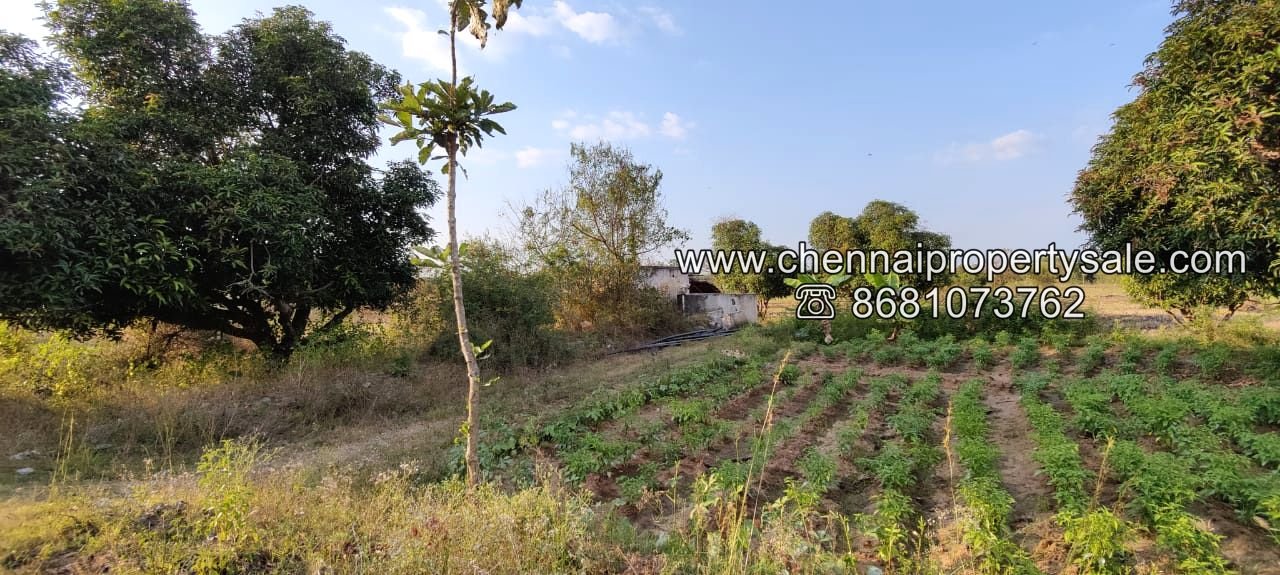 50 Acre Farm Land Sale Near Tiruvannamalai