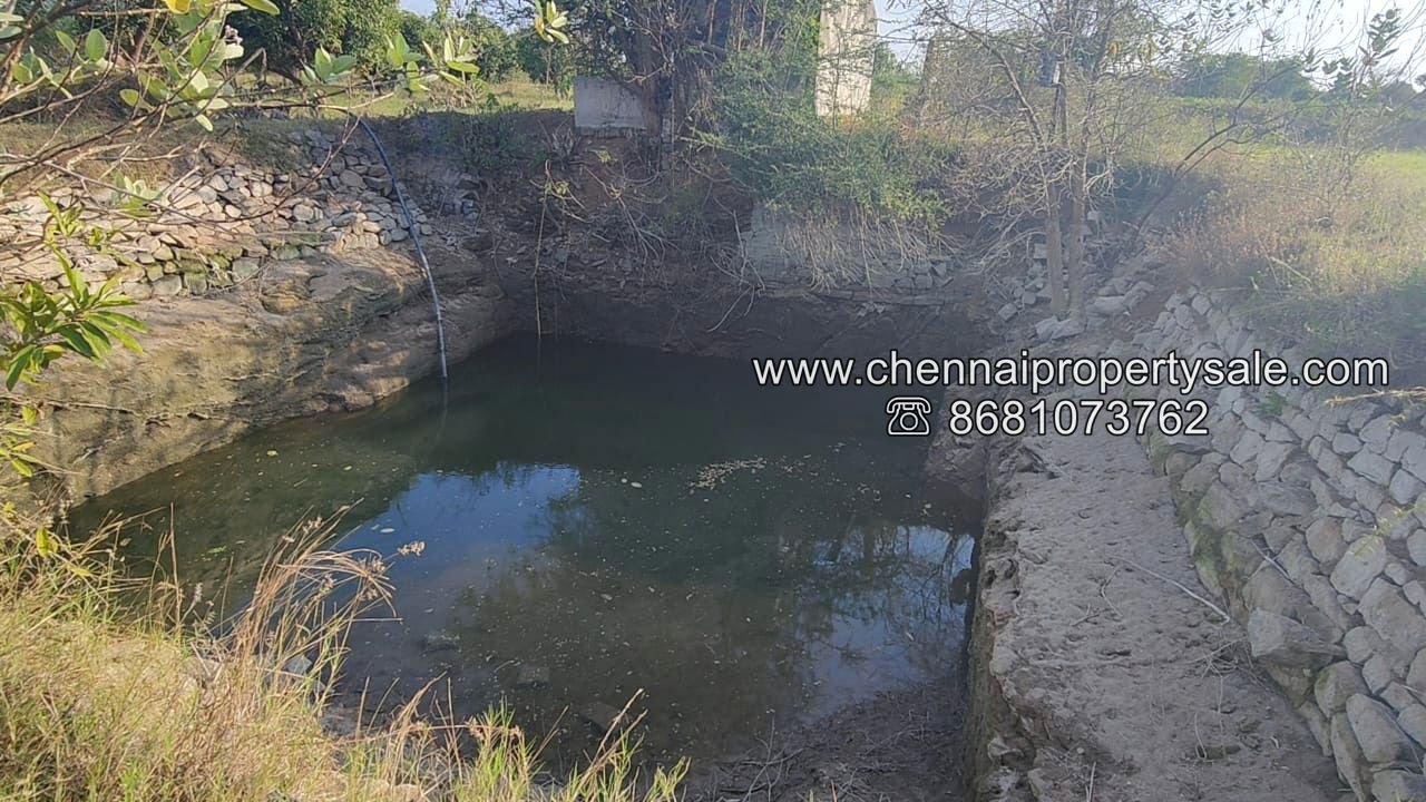 Farm Land Sale Near Tiruvannamalai