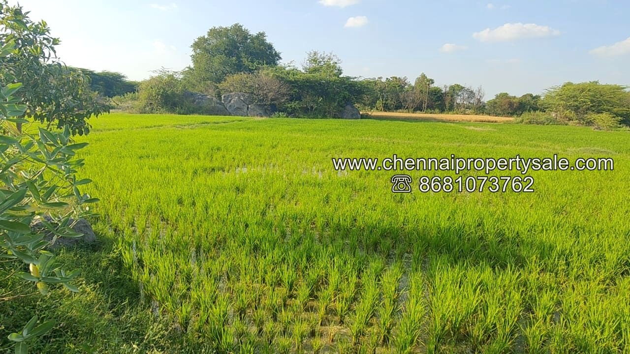 50 Acre Farm Land Sale Near Tiruvannamalai