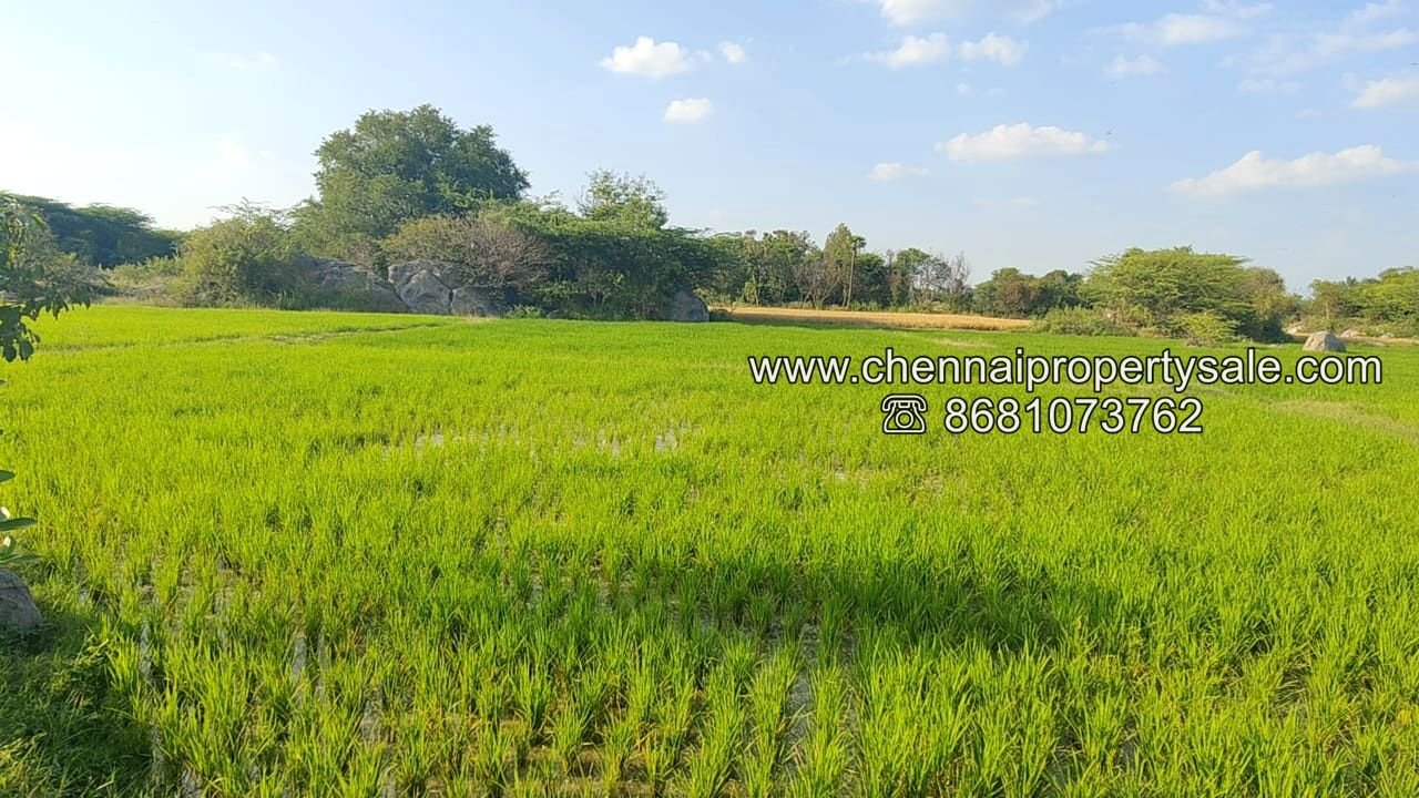 50 Acre Farm Land Sale Near Tiruvannamalai