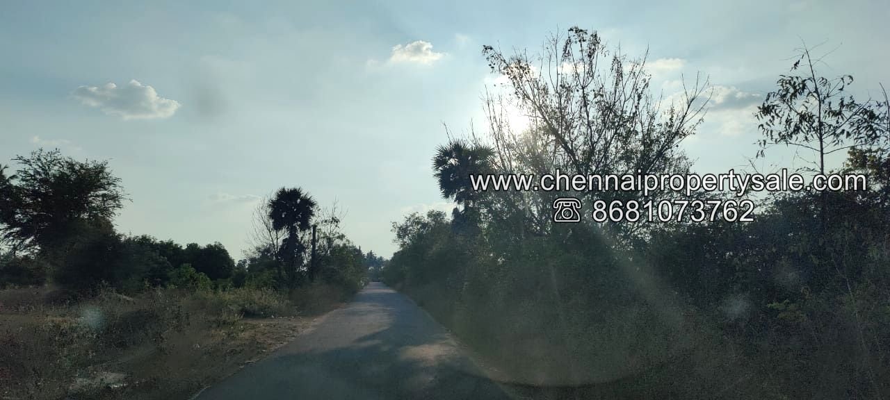 50 Acre Farm Land Sale Near Tiruvannamalai