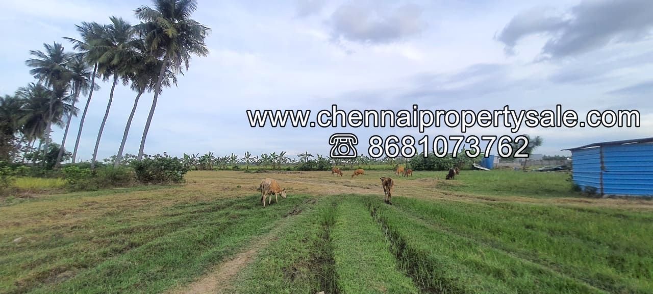 industrial land sale near Tamaraipakkam