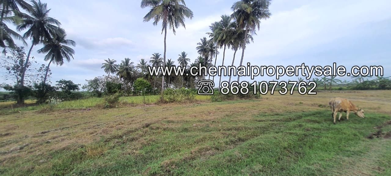 industrial land sale near Tamaraipakkam
