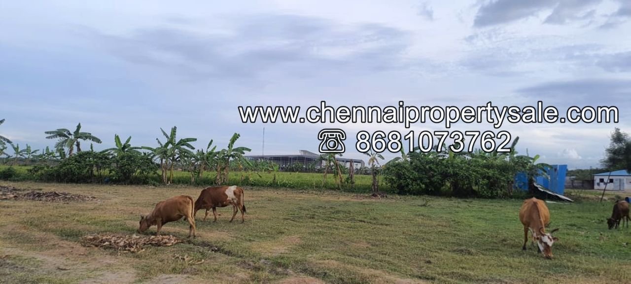 50 Acre industrial land sale near Tamaraipakkam