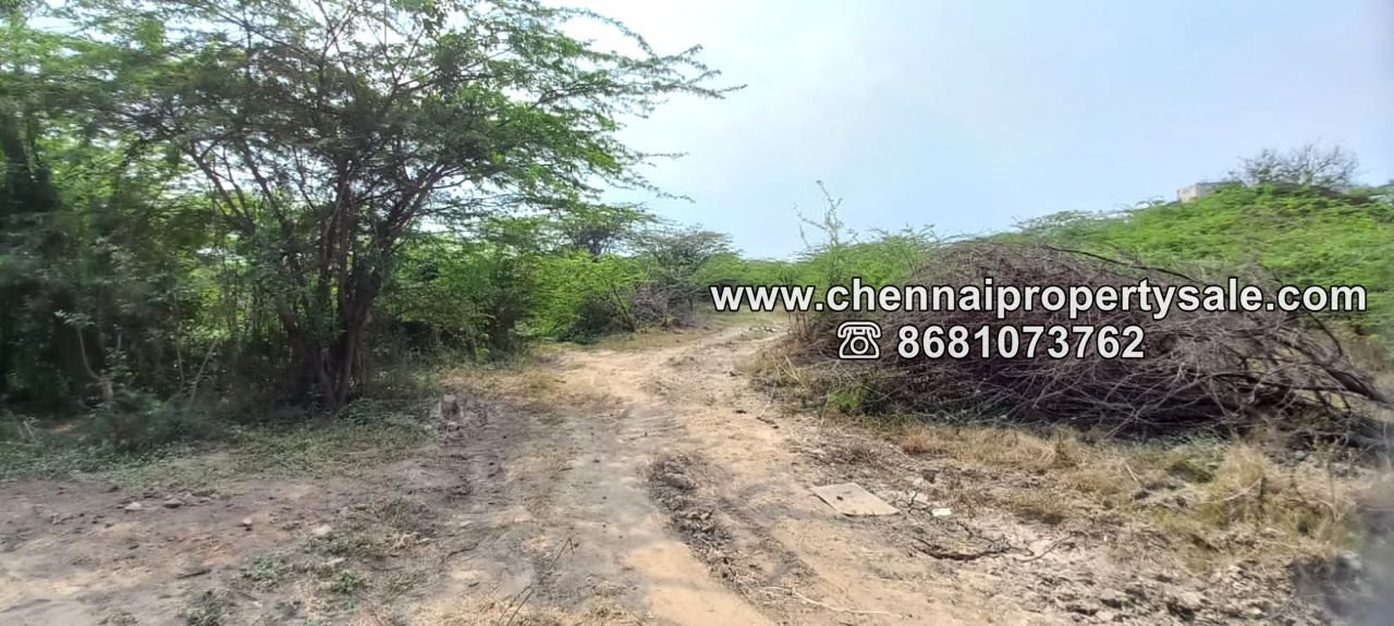 18 Acres Land Sale in Nemam Near Thirumazhisai