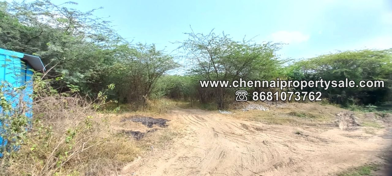 18 Acres Land Sale in Nemam Near Thirumazhisai