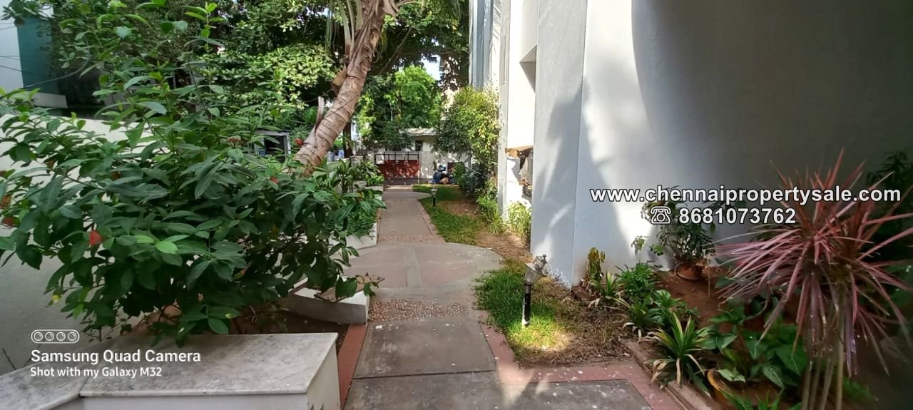 2550 Sqft 3.5 BHK Penthouse for Sale in Alwarpet