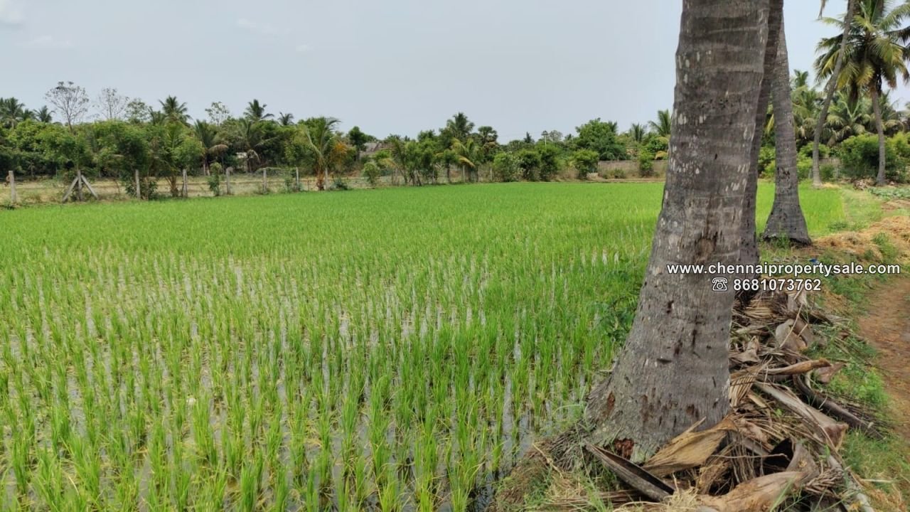 2 Acre Farm Land with House sale Near Tirukazhukundram 14 2 Acre Farm Land with House sale Near Tirukazhukundram
