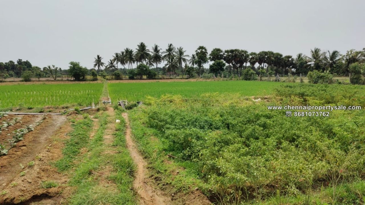 2 Acre Farm Land with House sale Near Tirukazhukundram