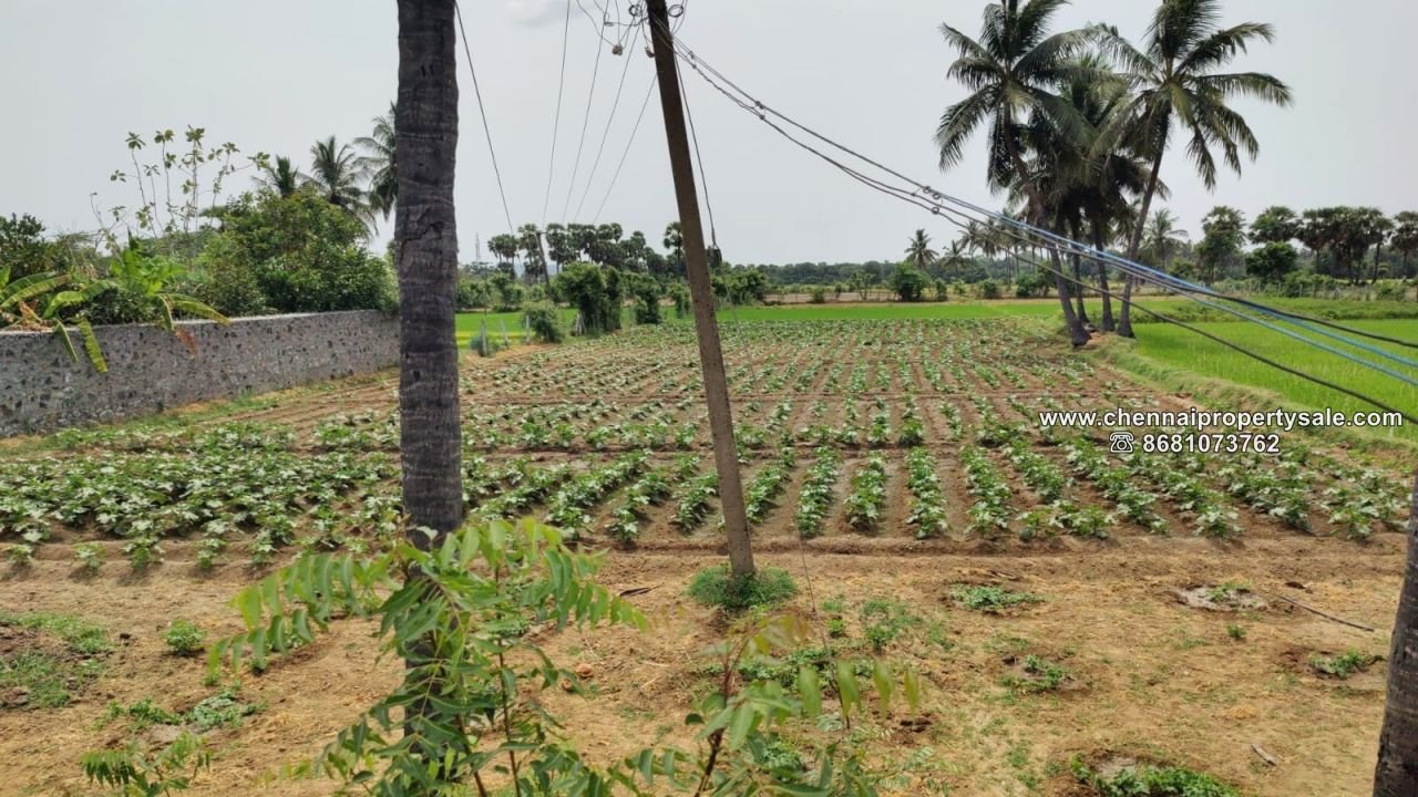 2 Acre Farm Land with House sale Near Tirukazhukundram