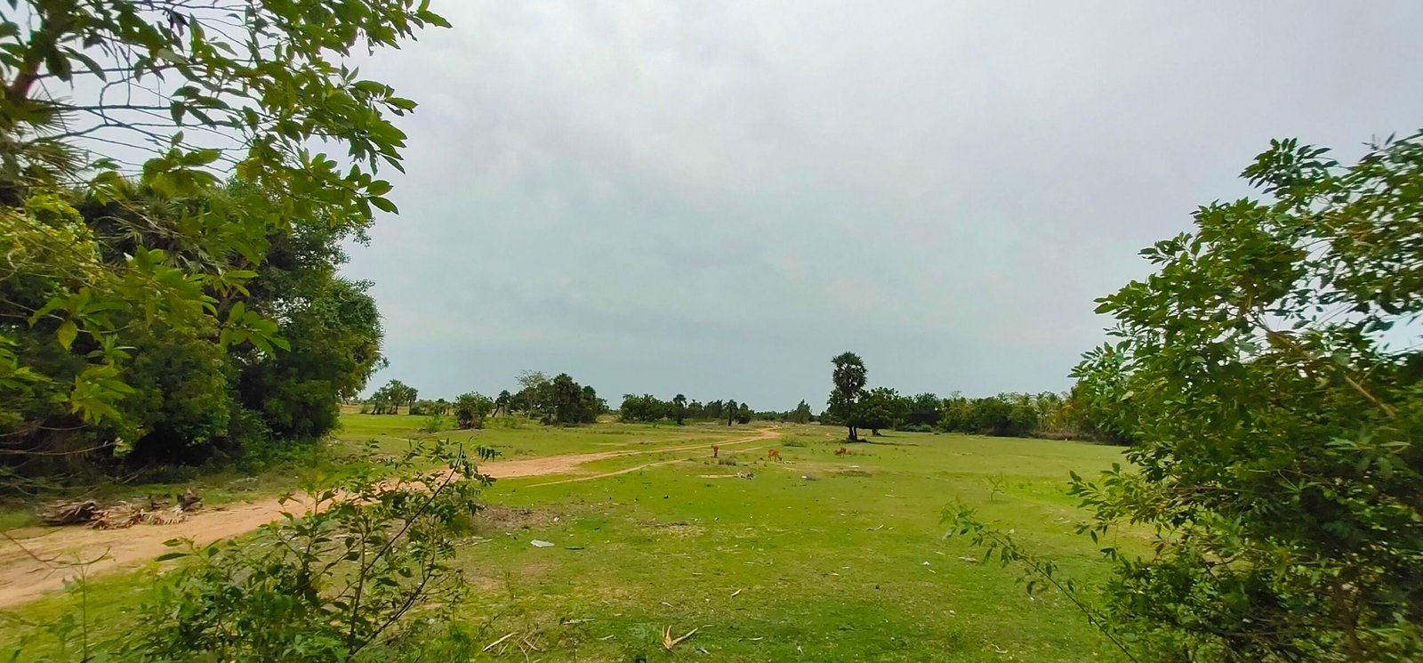 300 Acre Industrial land sale near Oragadam