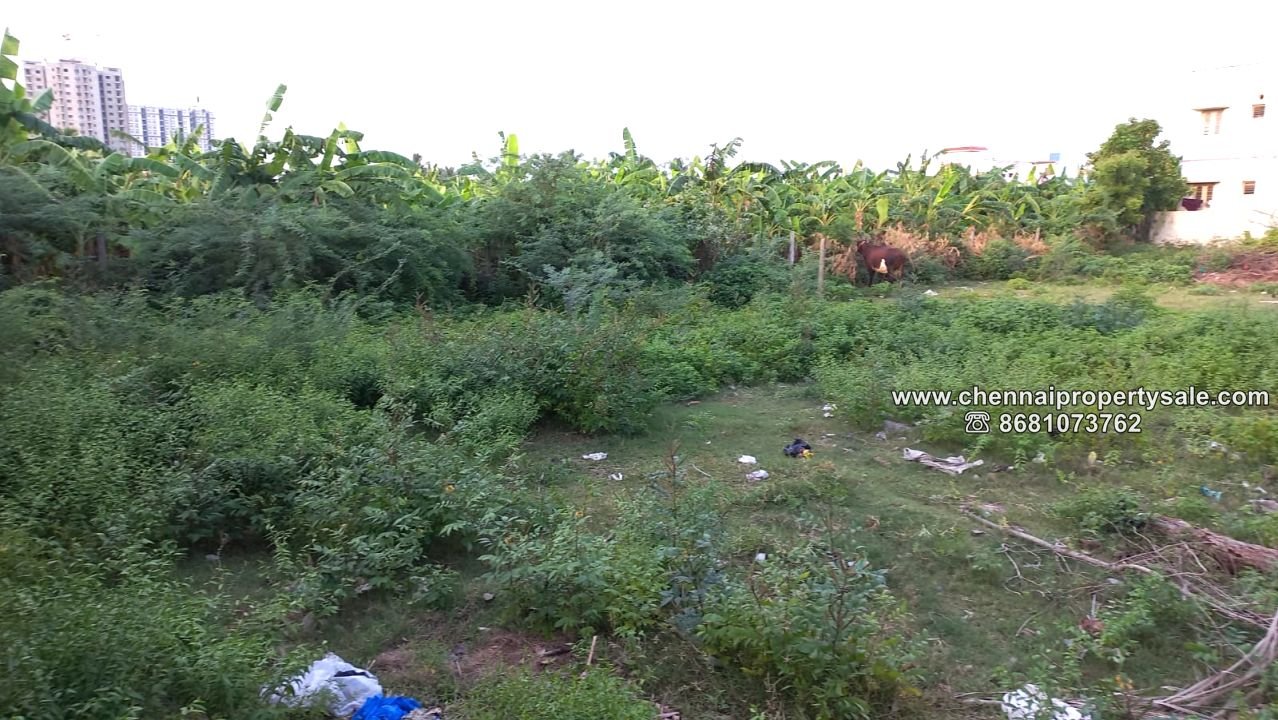 3600 Sqft Vacant Land Sale in Mangadu 10 3600 Sqft Vacant Land Sale in Mangadu