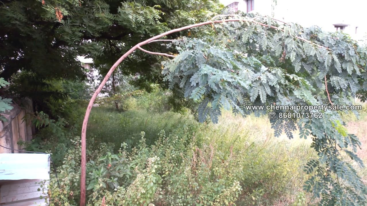 3779 Sqft Vacant Land Sale in Valasaravakkakam