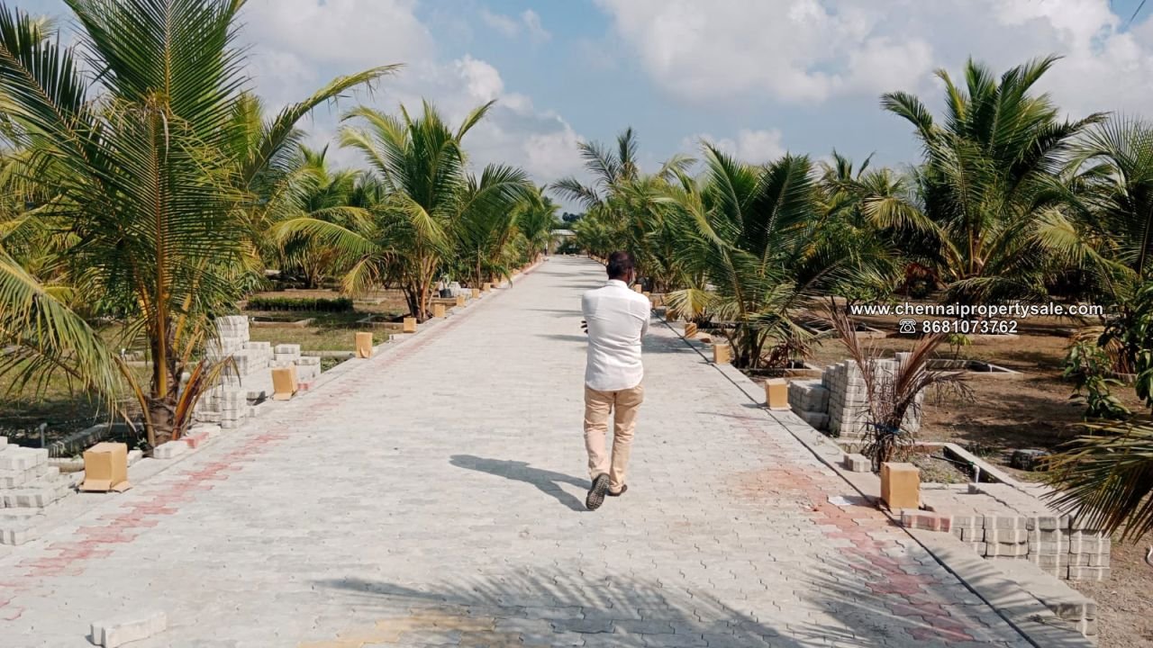 16.20 Acre Farm land Sale in Arpakkam Kanchipuram