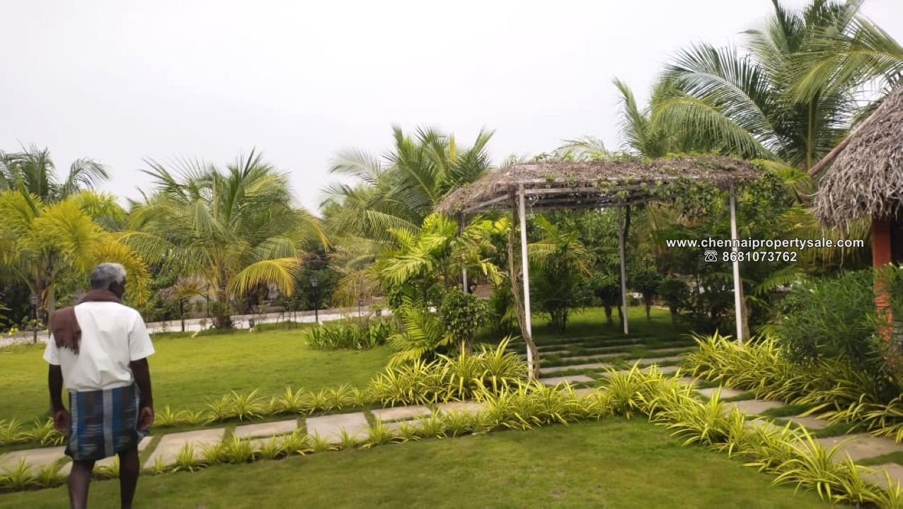 16.20 Acre Farm land Sale in Arpakkam Kanchipuram