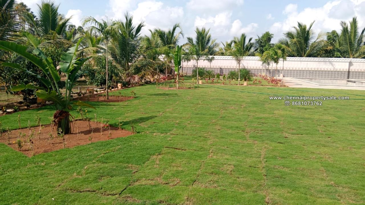 16.20 Acre Farm land Sale in Arpakkam Kanchipuram