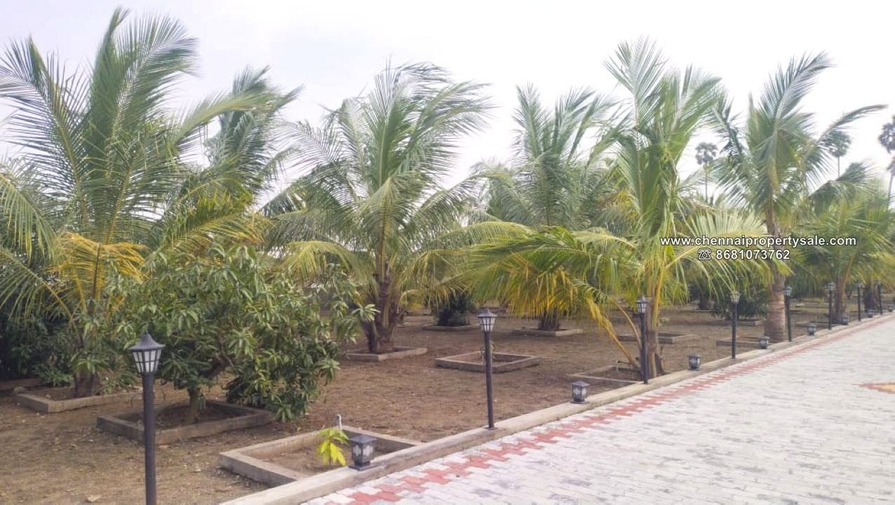 16.20 Acre Farm land Sale in Arpakkam Kanchipuram