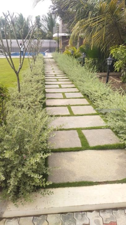 16.20 Acre Farm land Sale in Arpakkam Kanchipuram