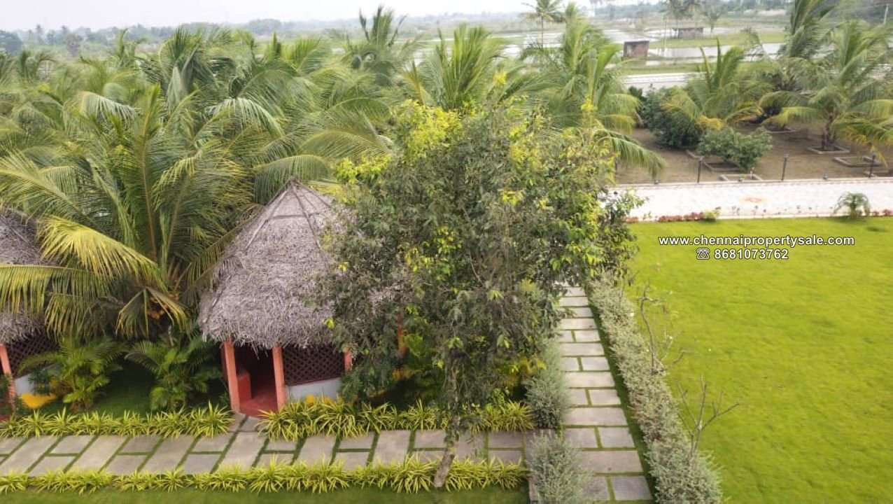 16.20 Acre Farm land Sale in Arpakkam Kanchipuram