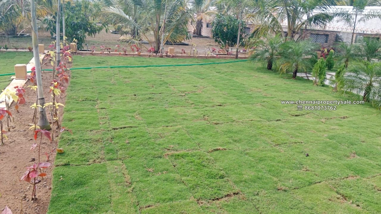 16.20 Acre Farm land Sale in Arpakkam Kanchipuram