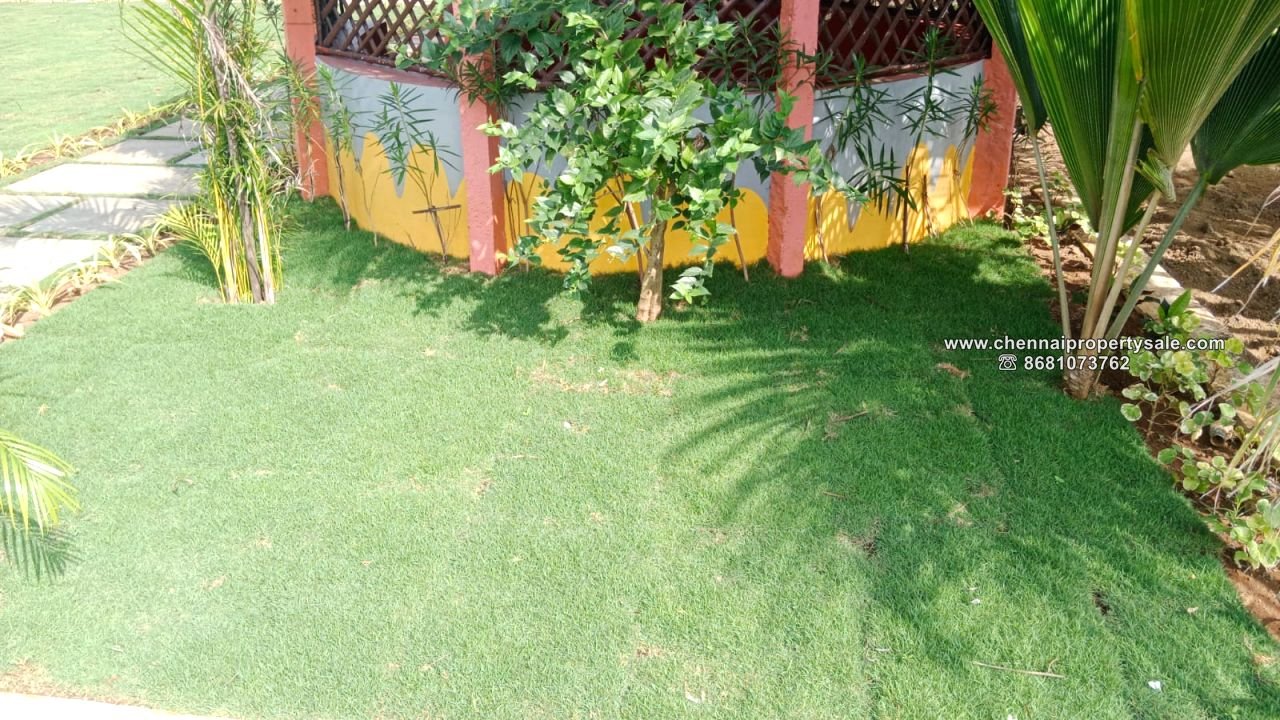 16.20 Acre Farm land Sale in Arpakkam Kanchipuram