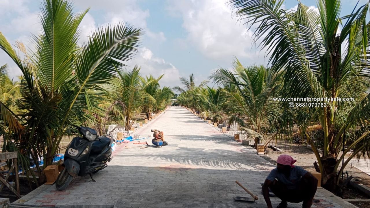 16.20 Acre Farm land Sale in Arpakkam Kanchipuram