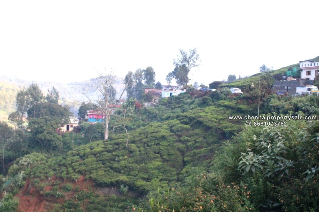 15025 Sqft Vacant Land Sale in Kotagiri