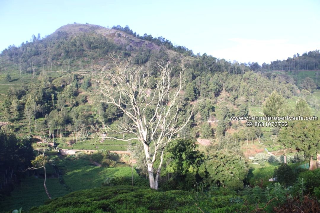 15025 Sqft Vacant Land Sale in Kotagiri