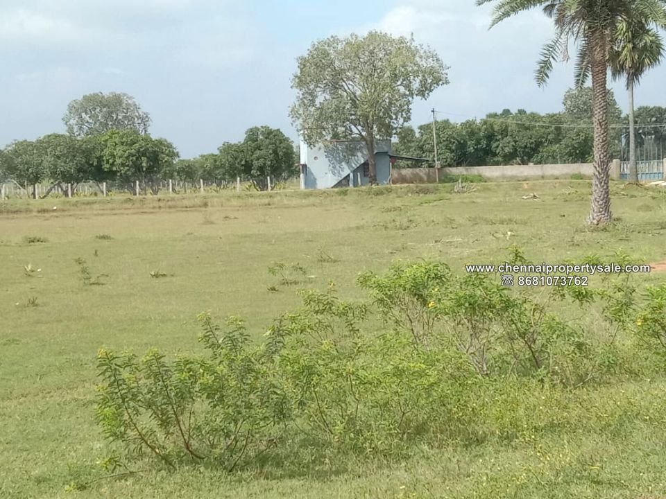 3.77 Acres Land Sale in Poondi