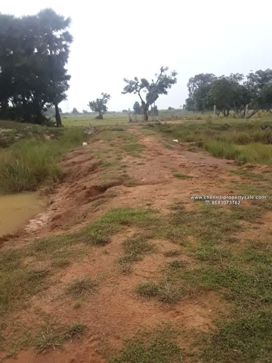 3.77 Acres Agriculture/Farm Land Sale in Poondi