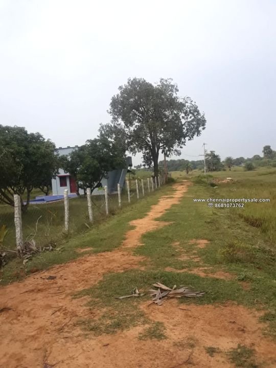 3.77 Acres Agriculture/Farm Land Sale in Poondi