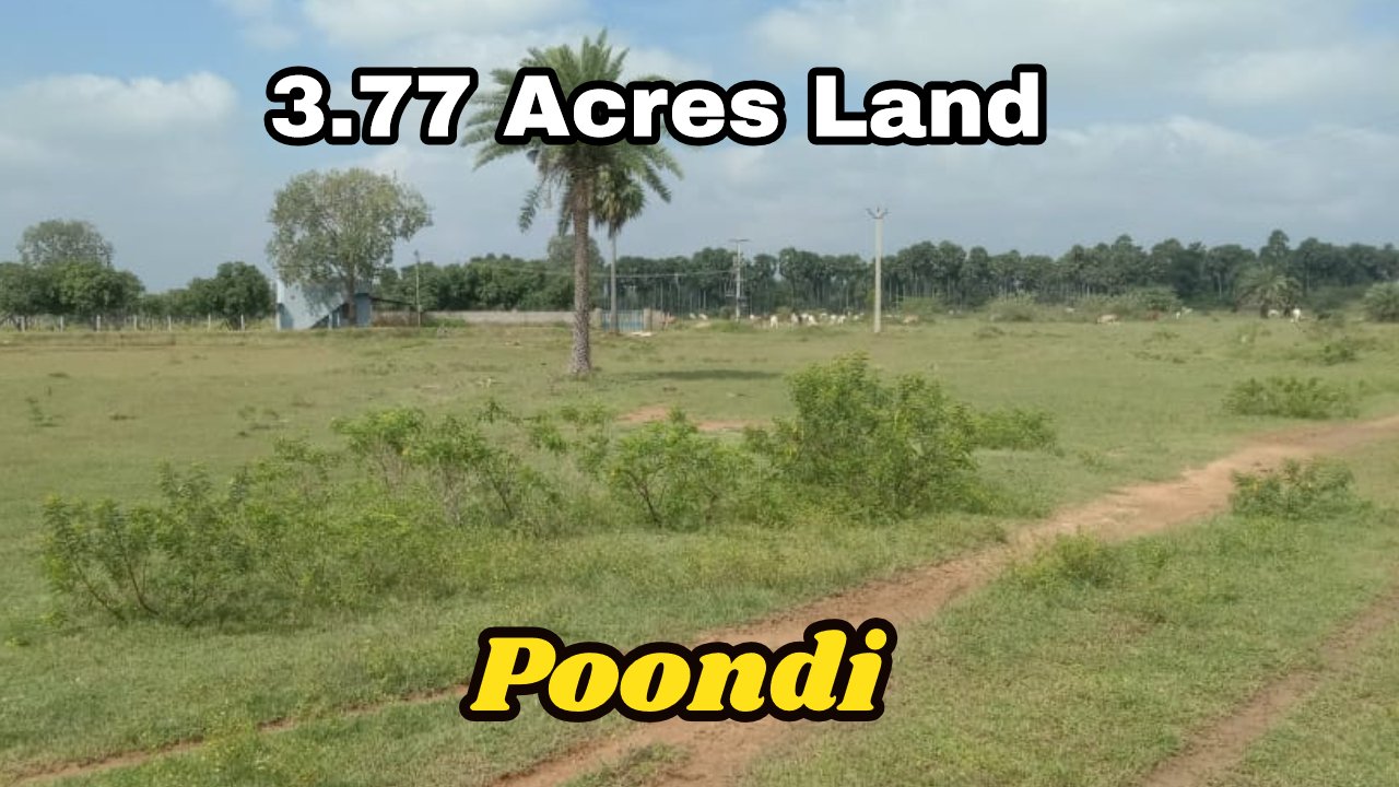 3.77 Acres Agriculture/Farm Land Sale in Poondi
