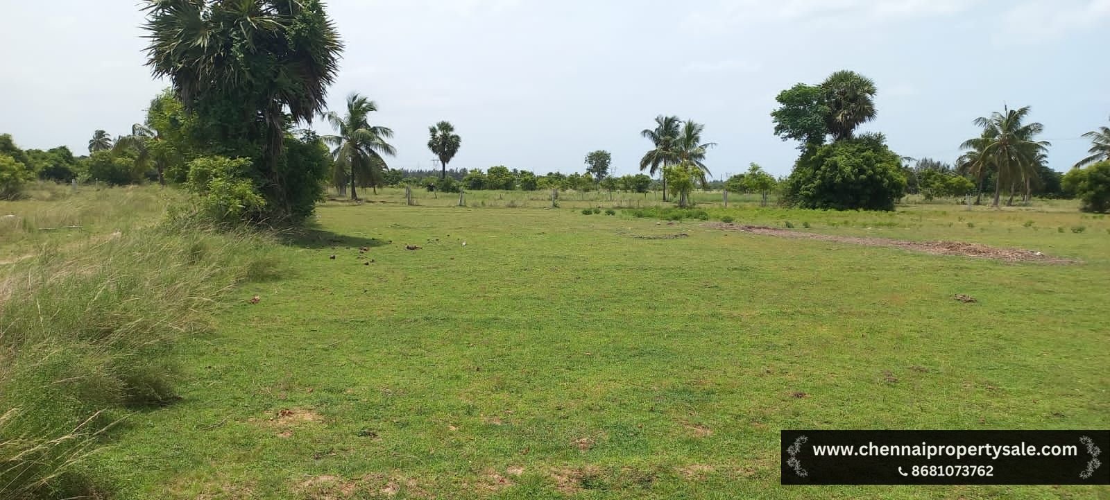 45946 sqft Farm Land Sale in Poonthandalam Village ECR