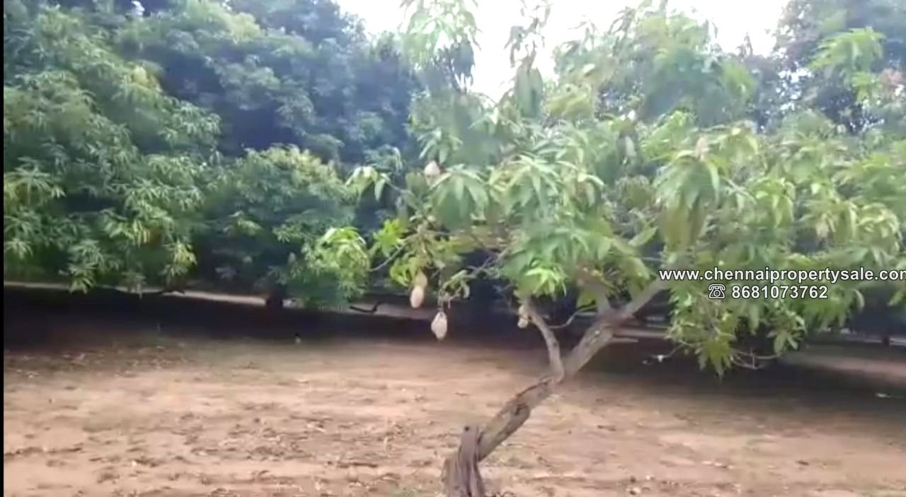 6.05 Acres Farmland Sale in Arambakkam