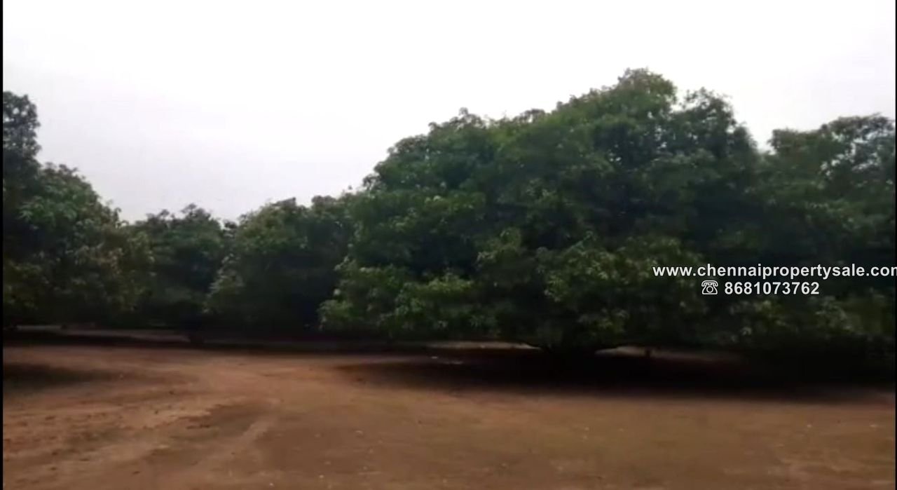 6.05 Acres Farmland Sale in Arambakkam