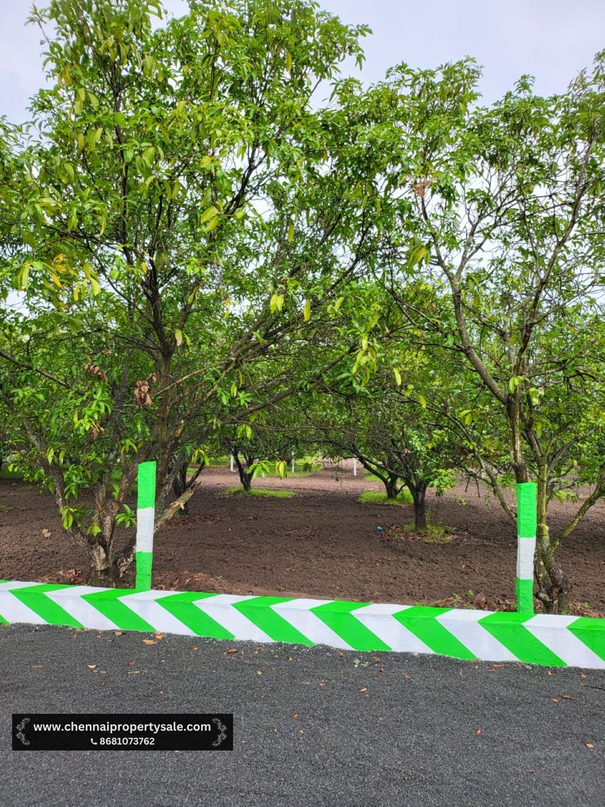 10000 sqft Farm Land Sale near Tindivanam