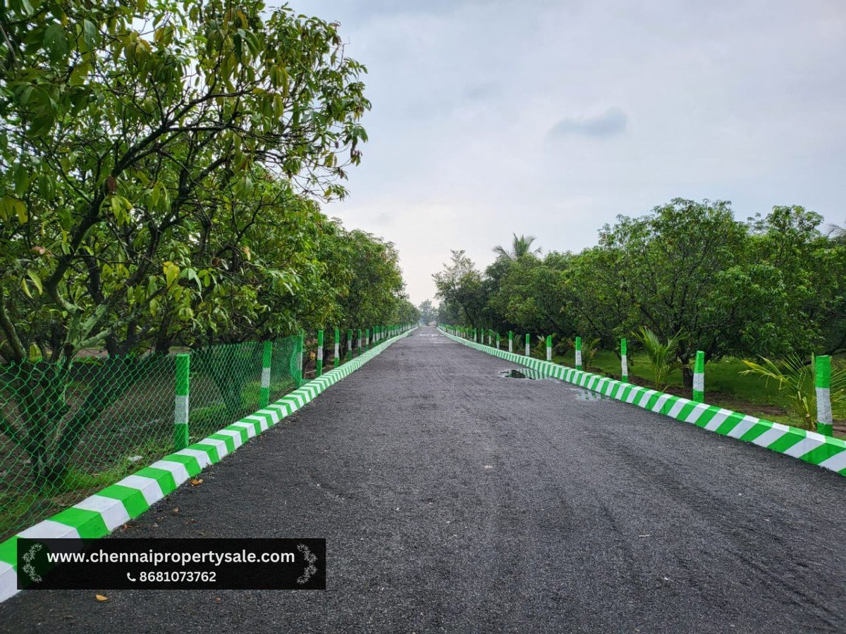10000 sqft Farm Land Sale near Tindivanam