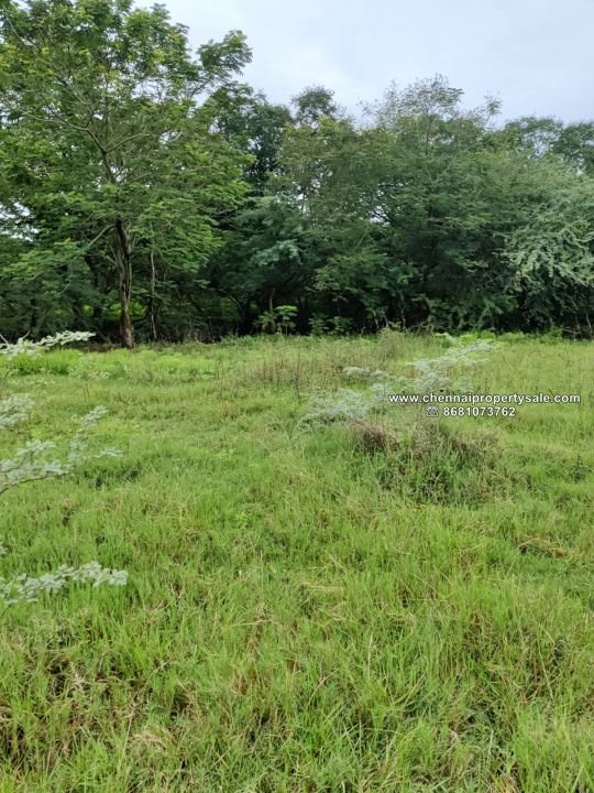 DTCP Approved Plots Sale in Arakkonam