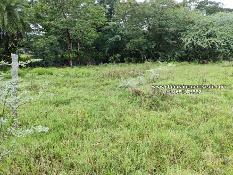 1200 Sqft DTCP Approved Plots Sale in Arakkonam