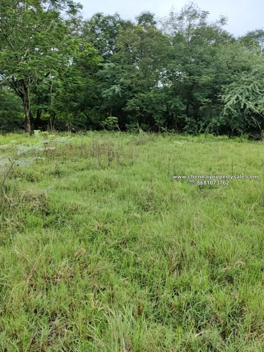 1200 Sqft DTCP Approved Plots Sale in Arakkonam