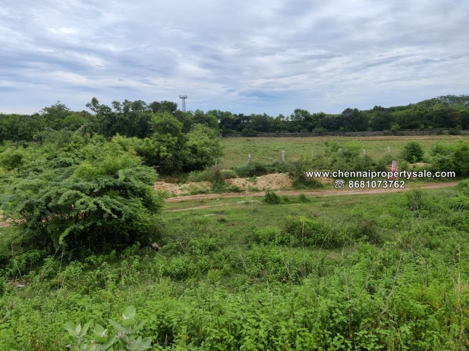 1200 Sqft DTCP Approved Plots Sale in Arakkonam
